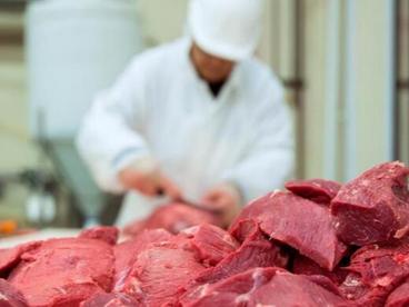 日本将从哈萨克斯坦进口马肉