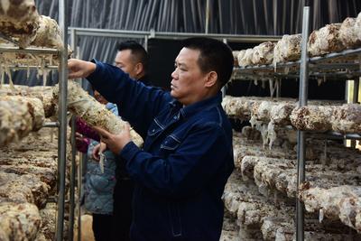 唐琪：坚守为民初心 助村拔掉穷根