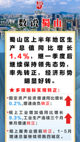 1.4%！合肥蜀山区上半年多项经济指标领跑全市城区