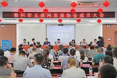 安徽滁州市互联网发展协会成立