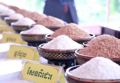 2020年上半年柬埔寨大米出口同比增加41%