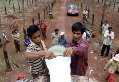 2020年前5月柬埔寨全国橡胶出口达9万7175吨
