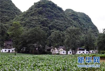 “产业村长”到岗 增收致富“有道”