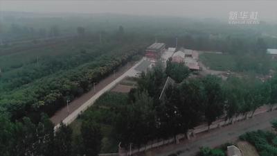 天津首座村级100千瓦光伏电站建成