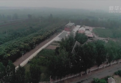 天津首座村级100千瓦光伏电站建成