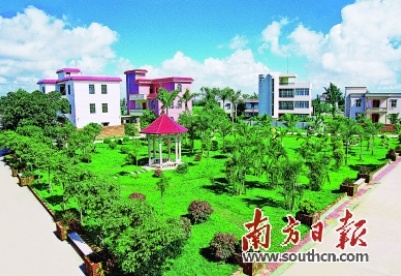 湛江霞山特呈岛：“离岸荒岛”变身“世外桃源”