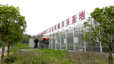 千“椒”百态！跟着煳辣椒走进遵义人的辣味生活