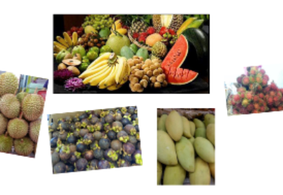 泰国输华水果品种增至22种