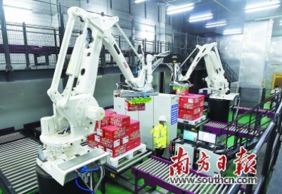 湛江全力推动近海岸水产养殖污染整治升级 