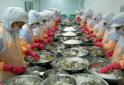 越南需树立虾类品牌形象