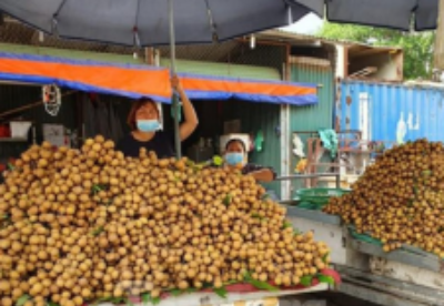 检疫工作被停止 越南农产品出口困难重重