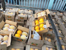 缅甸寻找水果出口的国外新市场