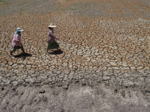 干旱少雨致泰国农耕经济损失760亿