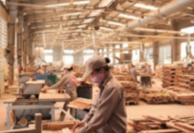 前7个月越南木材和木制品出口额增长超6％