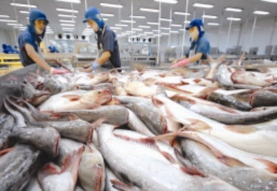 前6月越南查鱼对英国出口增长7.3%