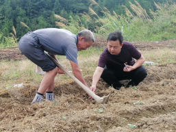 国网湖南电力许创业：实干兴业  “造血”扶贫  倾心为民