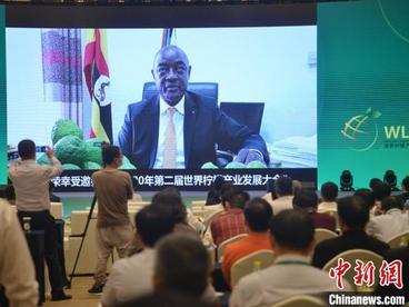 “小柠檬”连接海内外 全球柠檬行业大咖齐聚资阳盛会