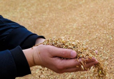 哈萨克斯坦计划增加对中国的粮食出口量