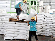 今年前8月，柬埔寨出口45万吨大米
