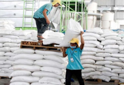 今年前8月，柬埔寨出口45万吨大米