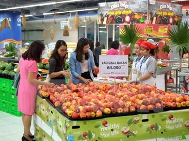 外国分销商越南优质产品的需求量增加