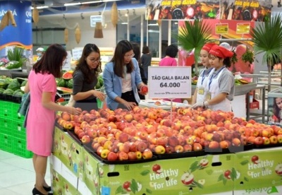 外国分销商越南优质产品的需求量增加