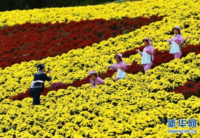 贵州龙里：“菊花经济”带动乡村旅游