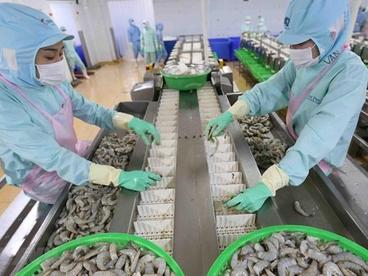 越南工商会实施两个月后立即对越南产生积极影响