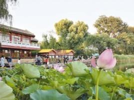 人文旅游大放光彩