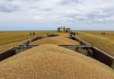 2019-2020年度哈萨克斯坦向中国出口小麦32万吨