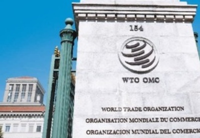 世贸组织如何守护好自由贸易？