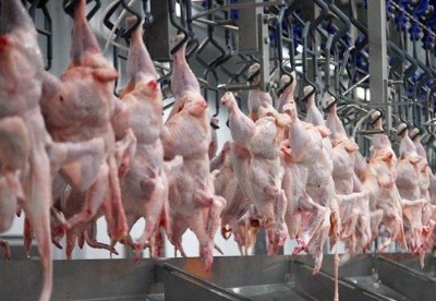 2020年前7个月哈萨克斯坦禽肉产量同比增长26.2%