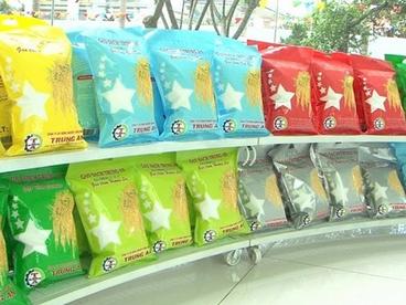越南：与海外越南企业合作 有效利用《越欧自贸协定》的优势