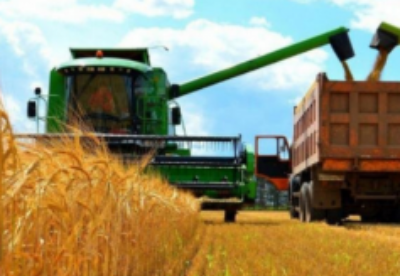 哈萨克斯坦已完成83%谷物收割工作