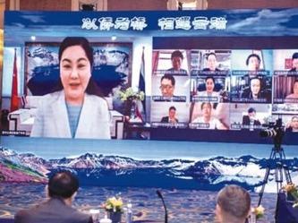 华商依托海外资源深耕中国市场