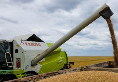 哈萨克斯坦计划将今年收获的谷物出口至中亚国家