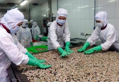 越南8月份虾类对欧盟出口额创年初以来最高增长率