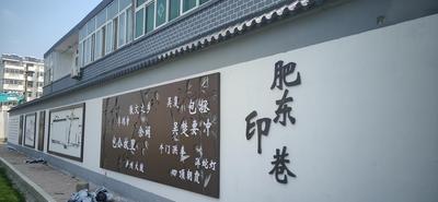 安徽肥东：整治背街小巷 扮靓城市“里子” 