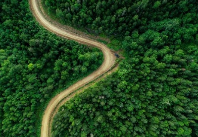 英智库：平衡世界的森林需求