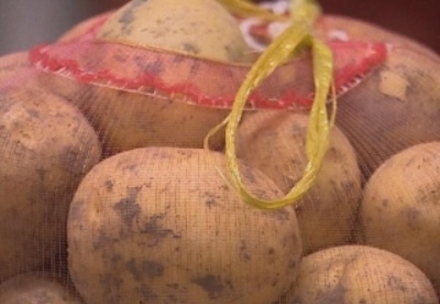 哈萨克斯坦将增加土豆的出口
