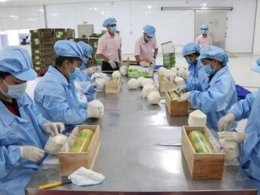 越南农产品价值得到肯定