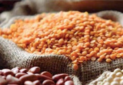 缅甸豆类出口市场现状