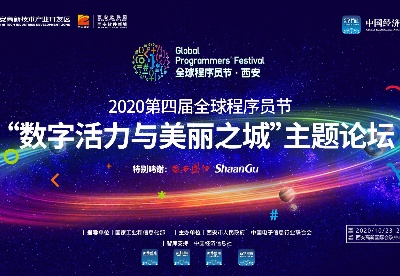 2020第四届全球程序员节“数字活力与美丽之城”主题论坛