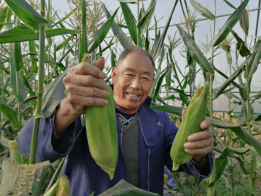 安徽巢湖：扶贫产业园迎来灾后收获