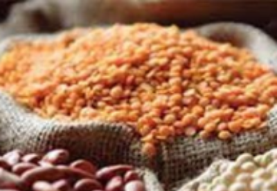 印度放宽豆类进口引发缅甸豆类市场的连锁反应