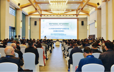 聚焦产地初加工　促产业提质增效——2020年贵州省中药材产业推进大会在丹寨举行