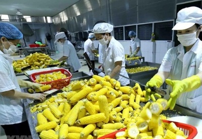越南对欧盟的农产品出口额猛增