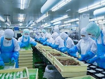 越南企业对第四季度生产与销售情况充满乐观