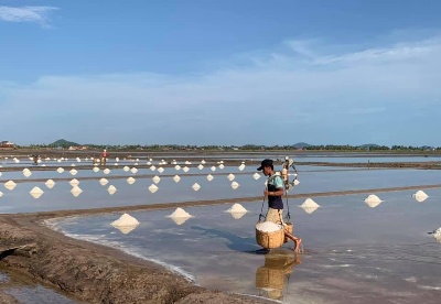 柬埔寨食盐产量猛增 今年无需进口