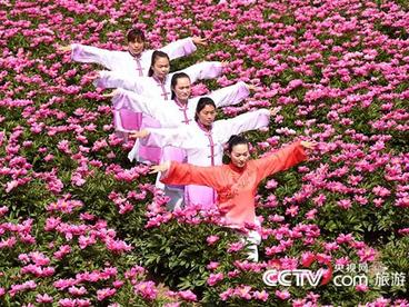 2020中国国际健康旅游高峰论坛于亳州举办